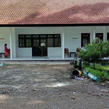 Bed and Breakfast Sukamade Adventure Tour Package Banyuwangi  Exteriér fotografie